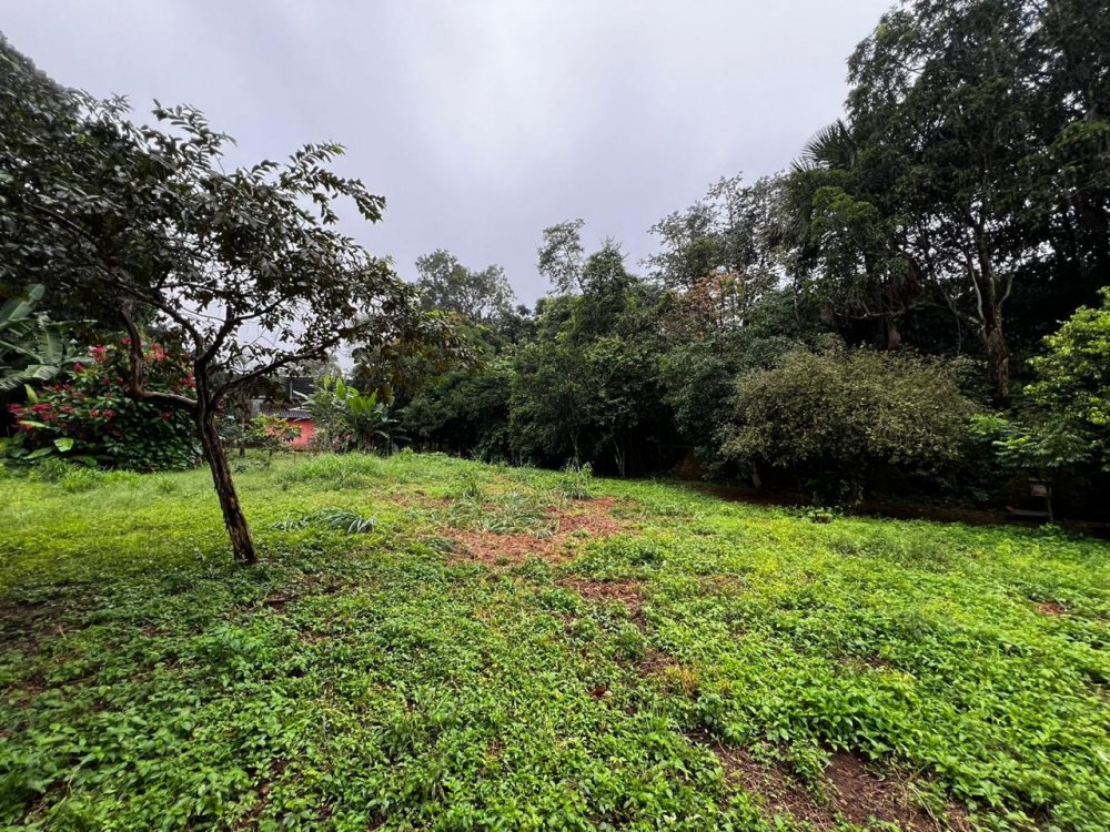 Chcara - Aluguel - Vila Mariana - Aparecida de Goinia - GO