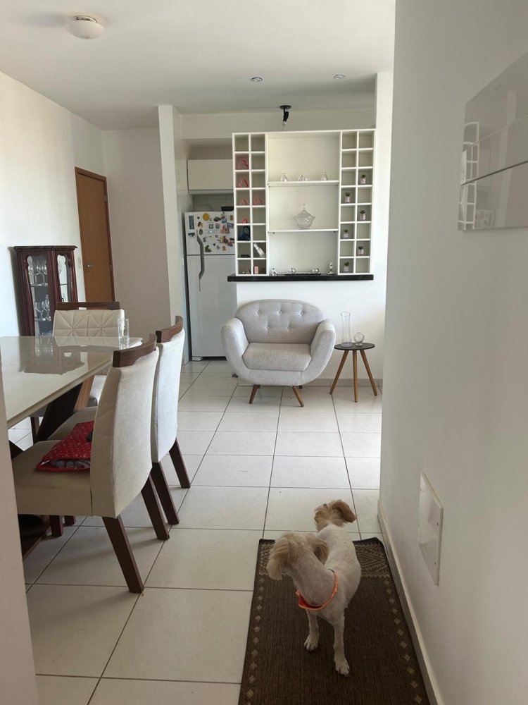 Apartamento - Venda - Parque Amaznia - Goinia - GO